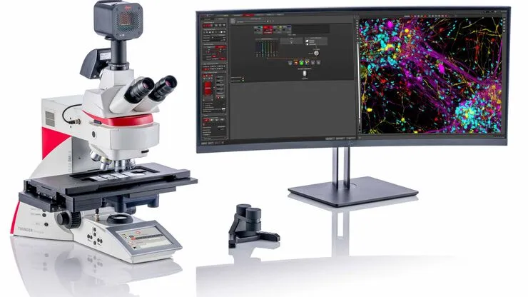 Curso de campo Oscuro Online con prácticas